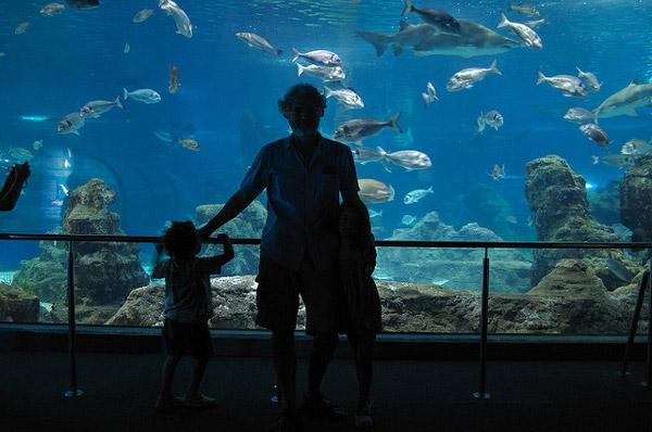 Actividades Con Niños En Barcelona