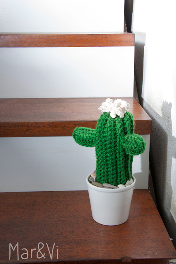Paso A Paso Para Hacer Una Cactus Amigurumi