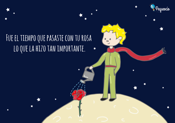 Las Mejores Frases Del Principito