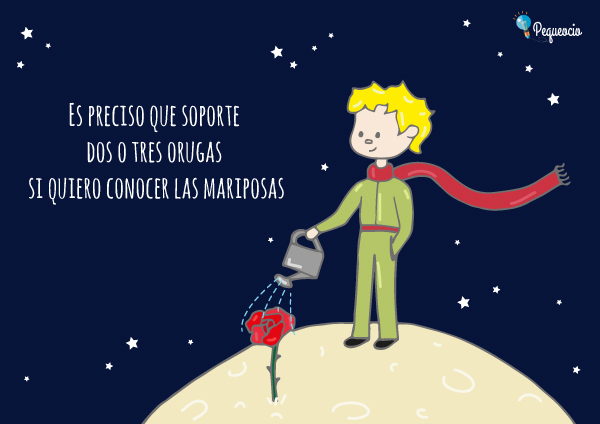 Frases Del Principito