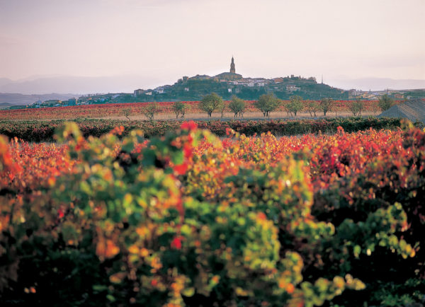 Visitar La Rioja_Briones