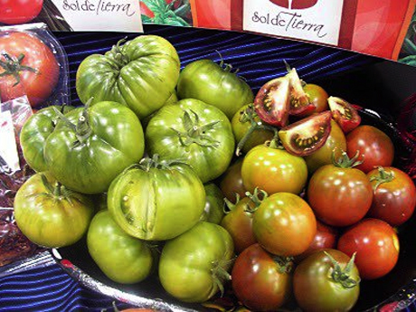 agricultura ecologica