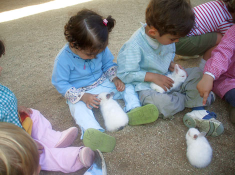 Actividades Para Niños Cerca De Madrid