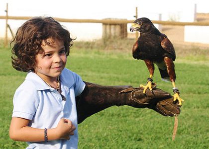 Actividades Con Niños En Madrid