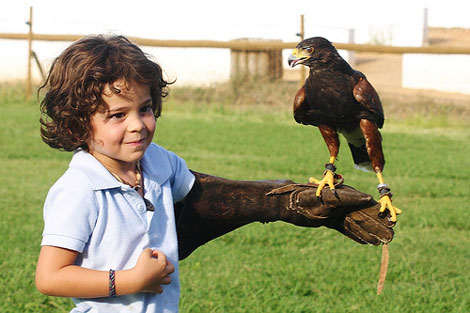 Actividades con niños en Madrid