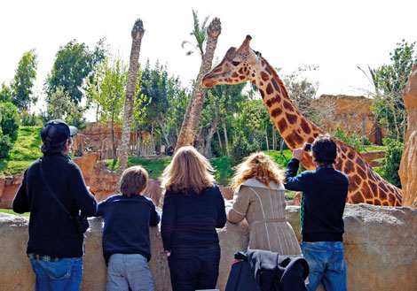 Turismo Con Niños En Valencia