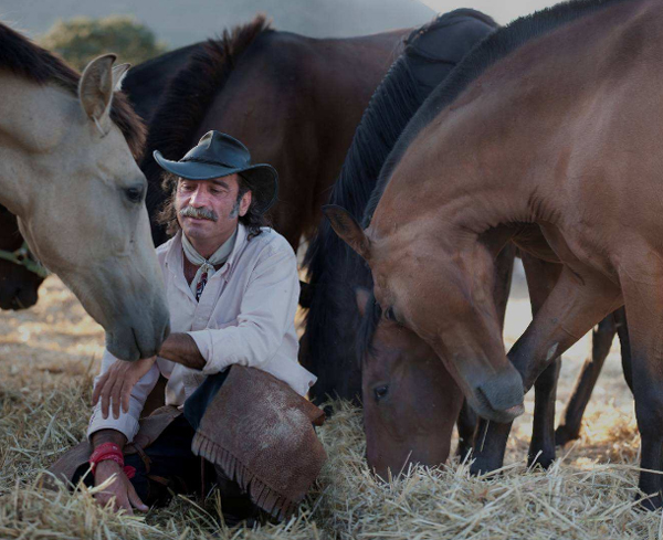 Fernando Noailles caballos