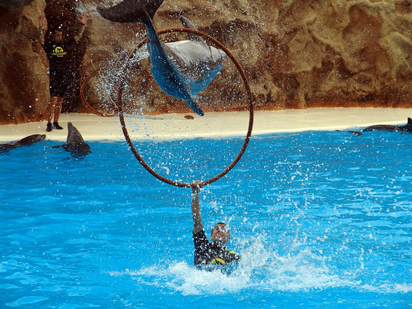 Turismo Familiar En Canarias