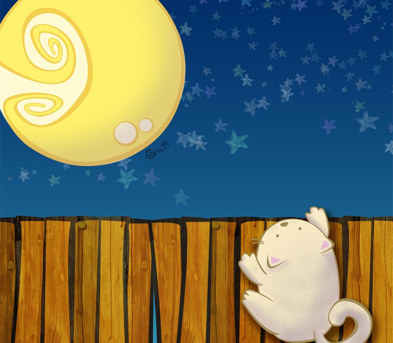 gato_luna