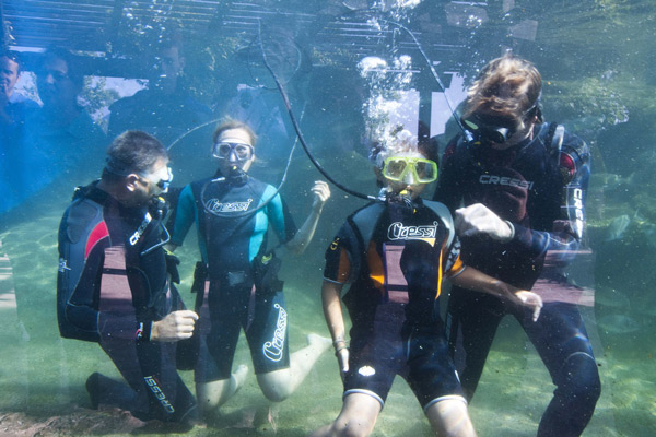 Ocio Para Niños En Verano: Palma Aquarium