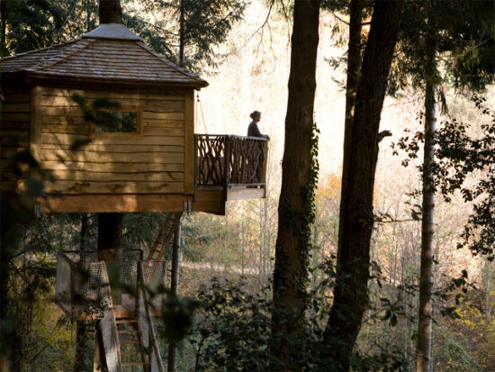 Cabaña en un árbol