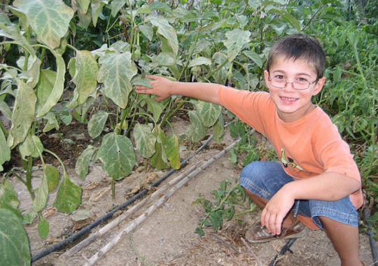 Talleres Para Niños Gratuitos: Hábitat Madrid Invierno