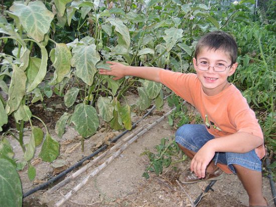 Talleres para niños gratuitos: Hábitat Madrid Invierno
