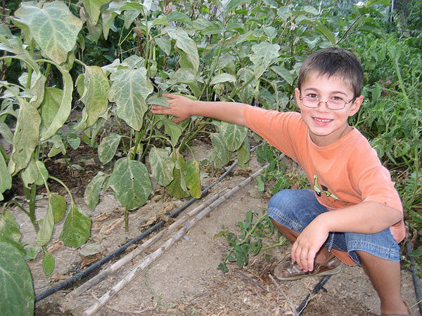 Talleres para niños gratuitos: Hábitat Madrid Invierno
