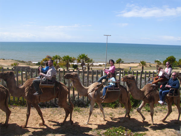 Vacaciones En Familia Con Drumbun Viajes