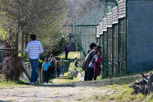 Avifauna, Excursión Con Niños En Lugo