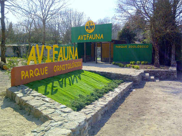 Avifauna, excursión con niños en Lugo