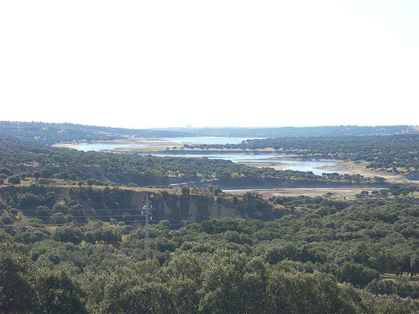 Excursión Con Niños A El Pardo