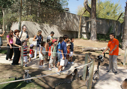 Talleres Infantiles En Madrid: Zoo Aquarium