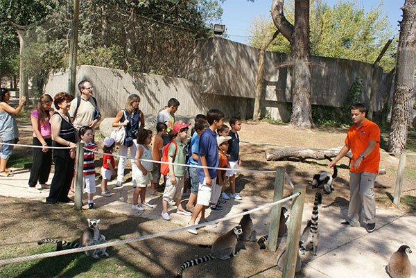 Talleres Infantiles En Madrid: Zoo Aquarium