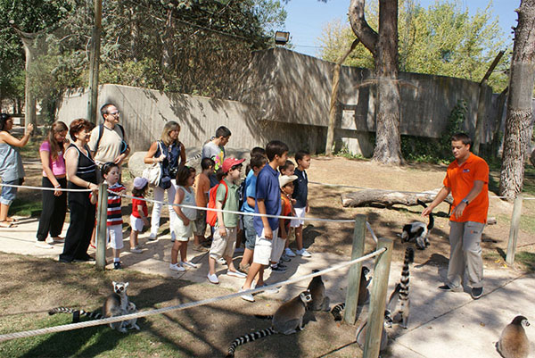 Talleres infantiles en Madrid: Zoo Aquarium