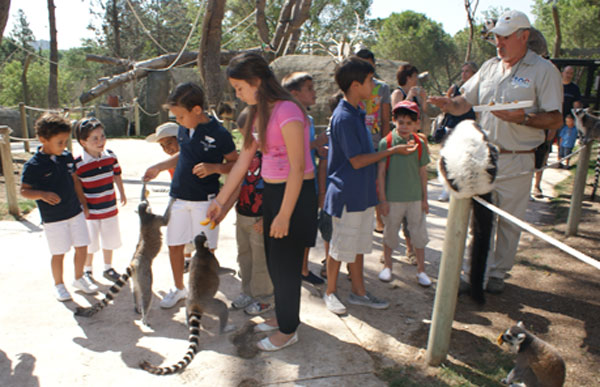 Talleres Infantiles En Madrid: Zoo Aquarium