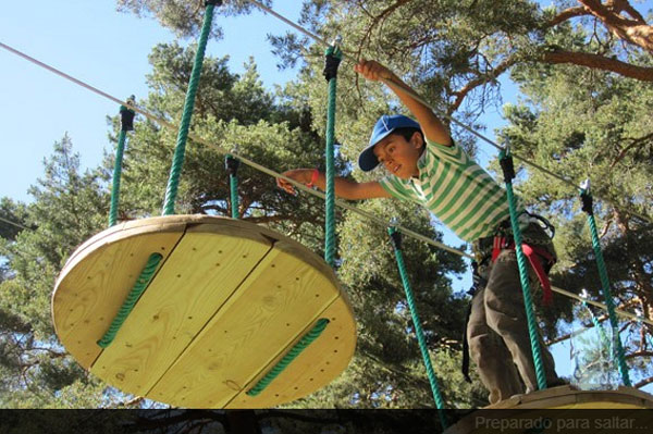 De Pino A Pino, Aventuras En La Sierra De Madrid