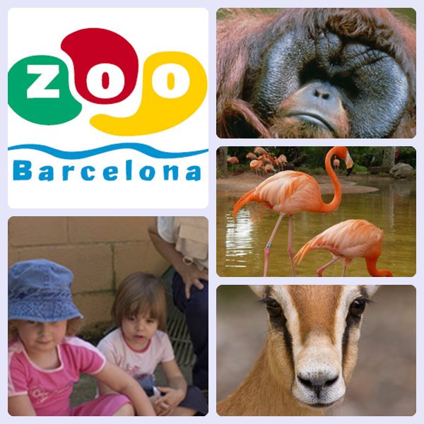 Talleres Para Niños 2013 Del Zoo De Barcelona