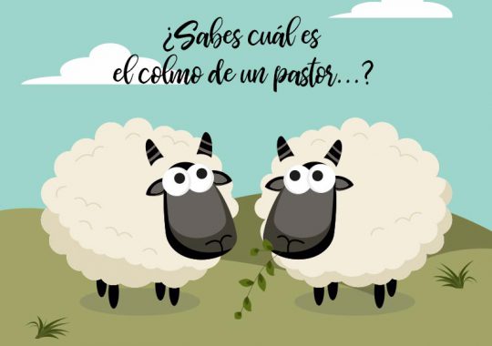 chistes de colmos