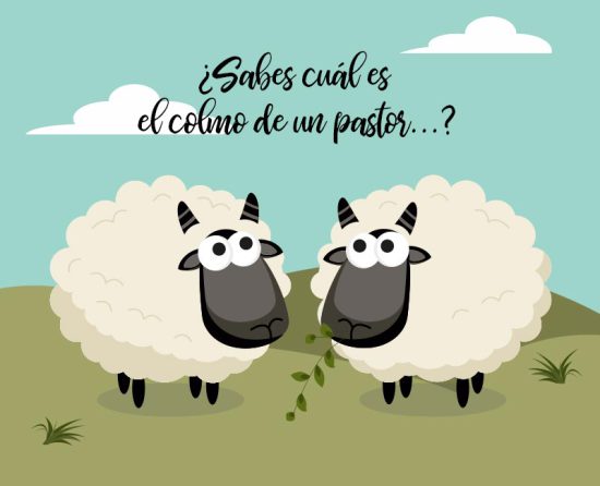 chistes de colmos