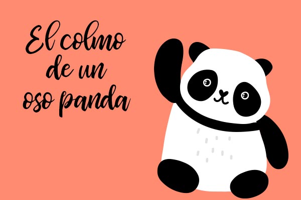 El Colmo De Un Oso Panda Chiste