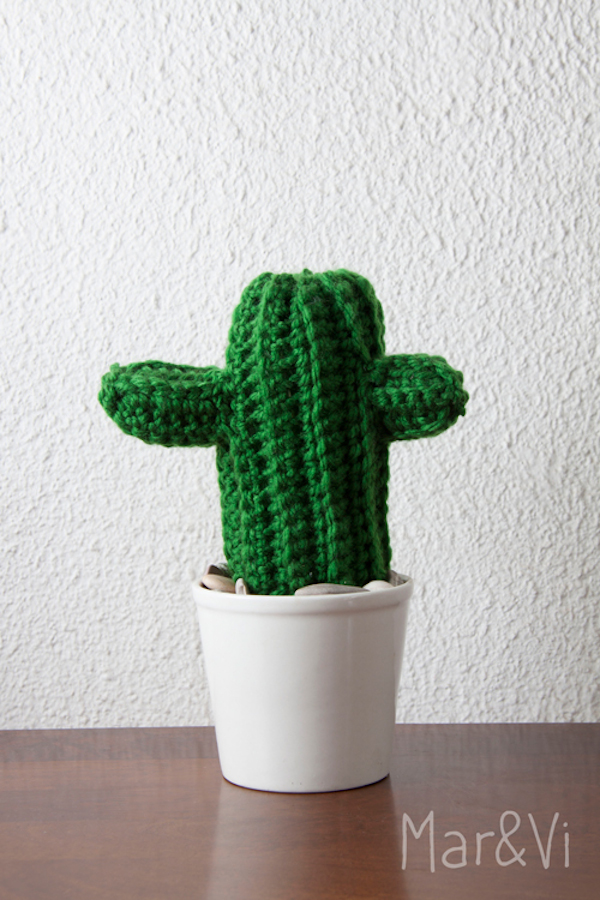 Cactus Amigurumi 4