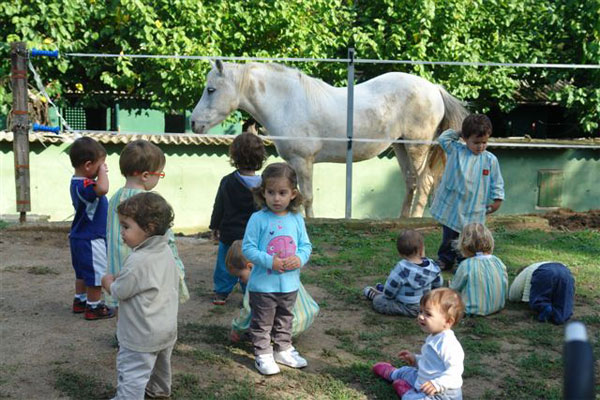 Taller Para Pequeños Granjeros En Barcelona