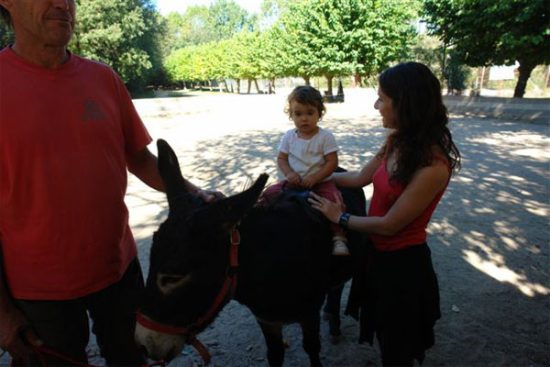 Taller para pequeños granjeros en Barcelona