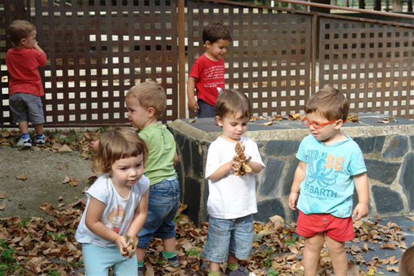 Taller Para Pequeños Granjeros En Barcelona