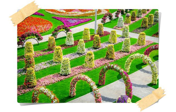 Dubai Miracle Garden, ¡Un Jardín De Ensueño Para Niños!