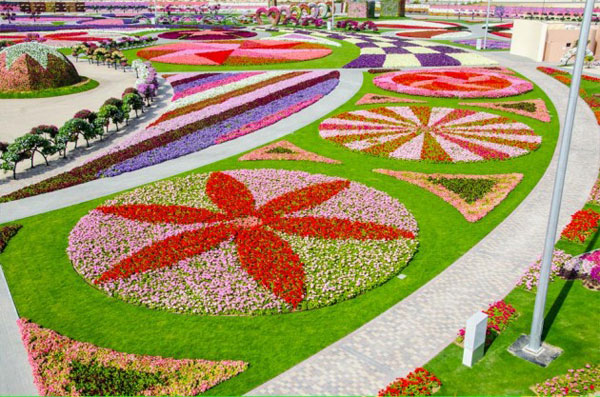 Dubai Miracle Garden, ¡Un Jardín De Ensueño Para Niños!