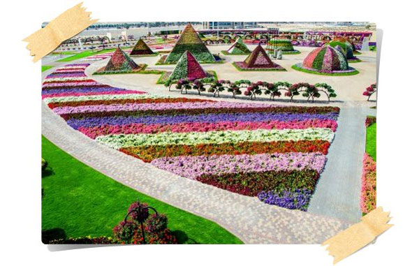 Dubai Miracle Garden, ¡Un Jardín De Ensueño Para Niños!