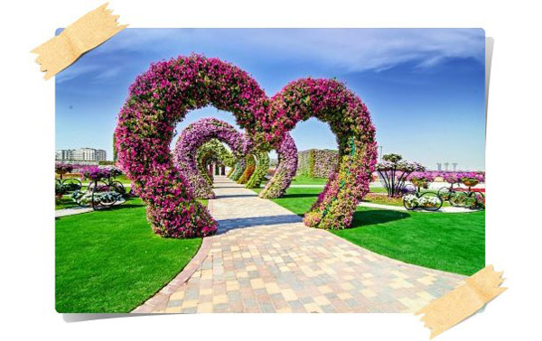 Dubai Miracle Garden, ¡Un Jardín De Ensueño Para Niños!