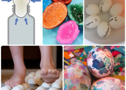5 Experimentos Para Niños ¡Con Huevos!