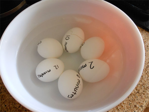5 Experimentos Infantiles Con Huevos