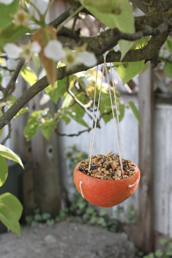 Cómo Hacer Comederos De Pájaros