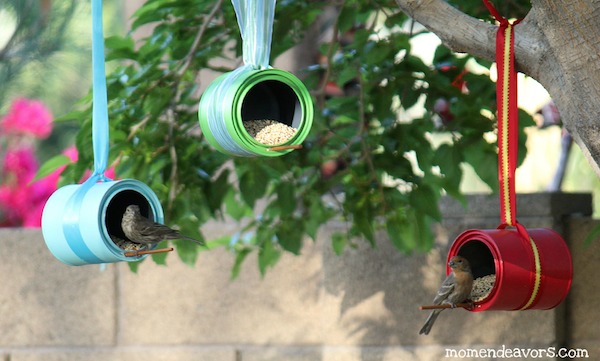 6 comederos para pájaros - Pequeocio