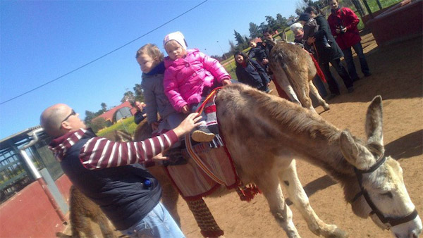 Ocio Infantil En Sevilla: Granja Escuela Finca Albahaca