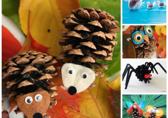 Manualidades Infantiles Con Piñas