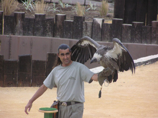 Terra Natura, Ocio Para Niños