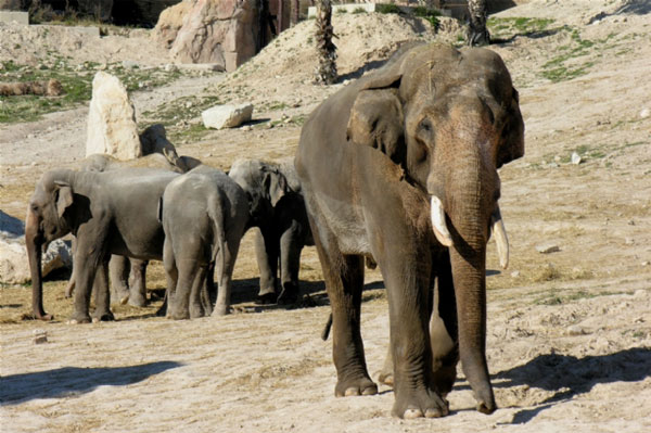 Parque De Animales Terra Natura