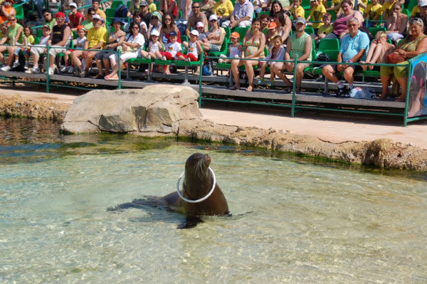 Terra Natura Benidorm