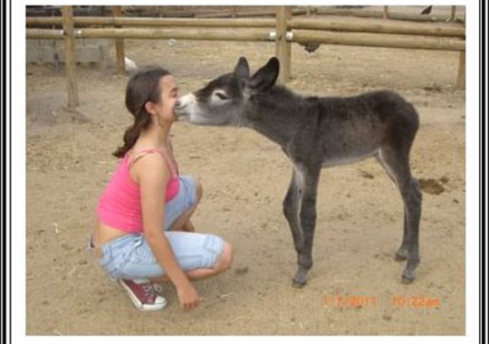 Burrolandia, excursión infantil en Madrid