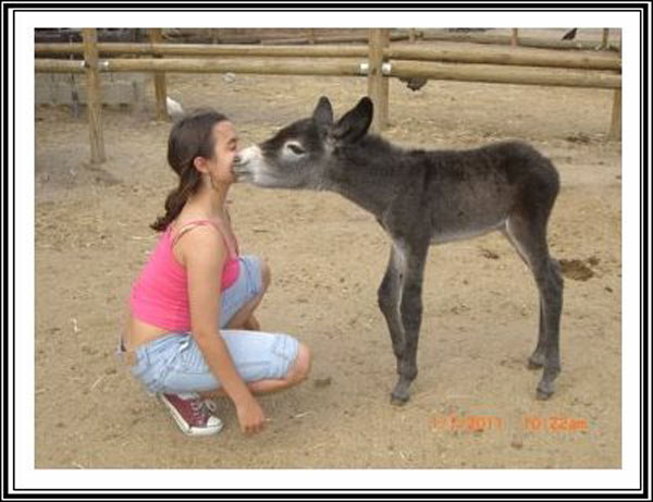 Burrolandia, Excursión Infantil En Madrid